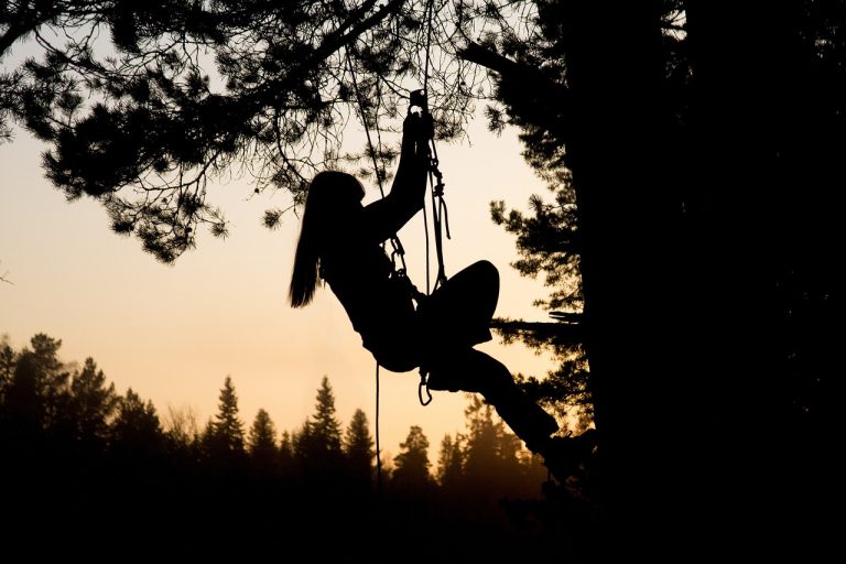 Left Hand Ascender Guide: Safe Step‑by‑Step Use