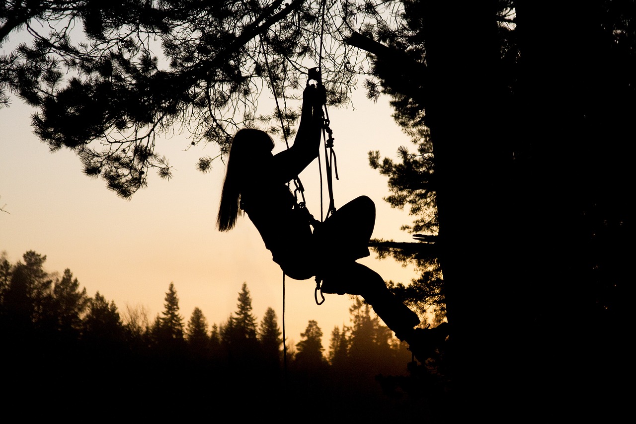 Left Hand Ascender Guide: Safe Step‑by‑Step Use